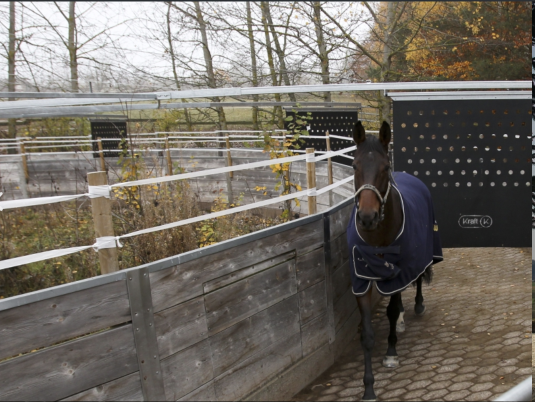 Ein Pferd in einem runden Laufstall
